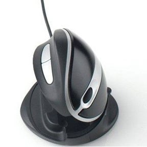 ERG40426 oyster mouse